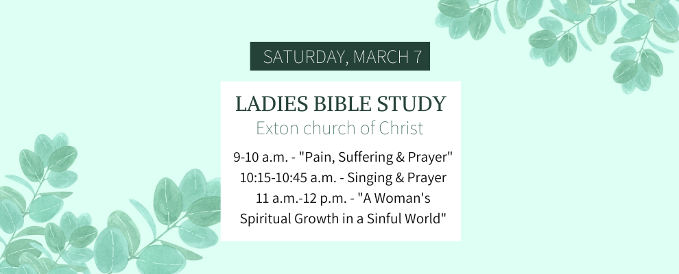 2020 Ladies Bible Study